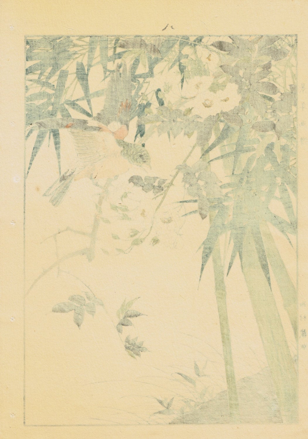 1892, Japanese Antique Original Woodcut Print, Imao Keinen, "Rosa multiflora, Bamboo, Brambling"