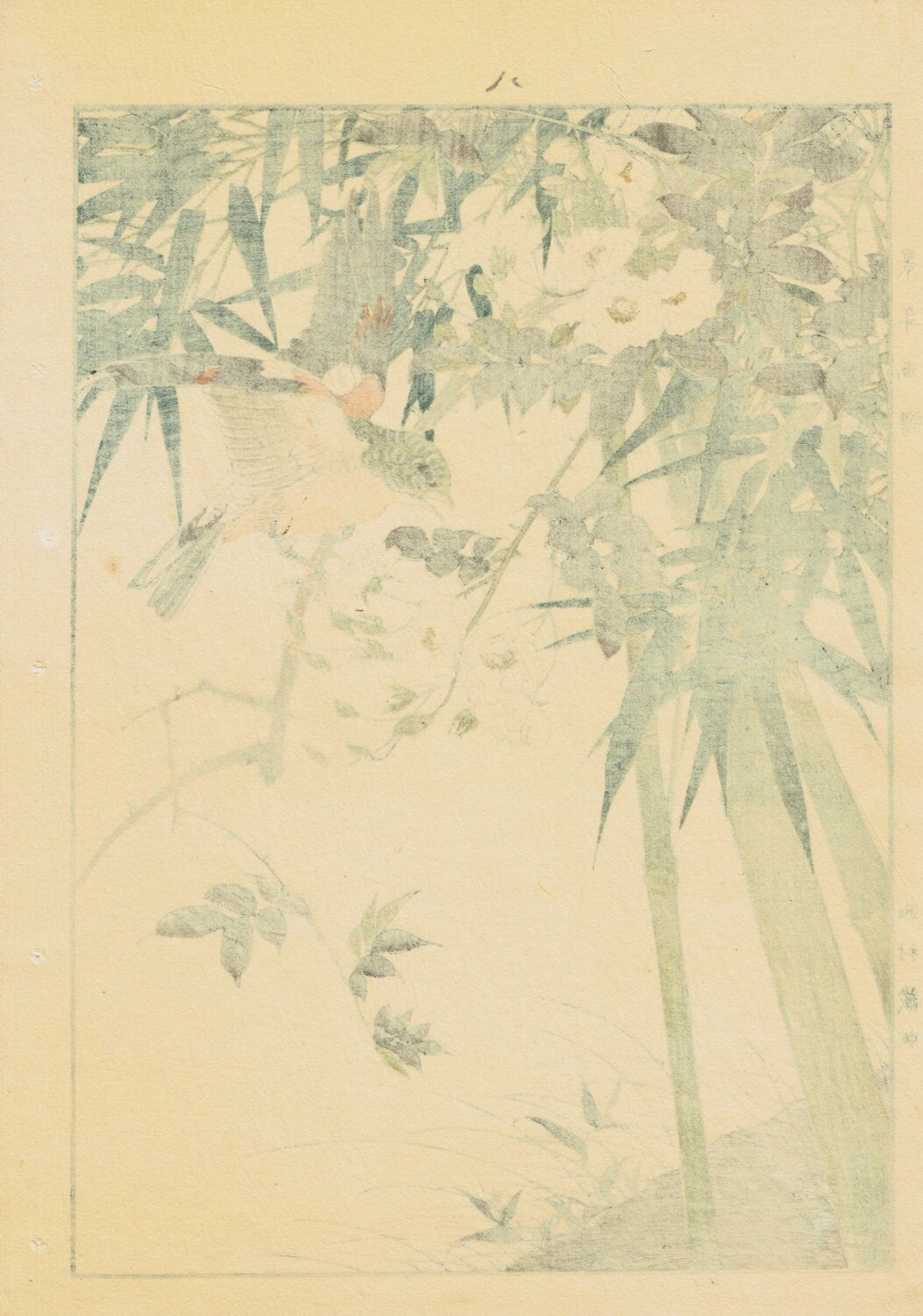 1892, Japanese Antique Original Woodcut Print, Imao Keinen, "Rosa multiflora, Bamboo, Brambling"