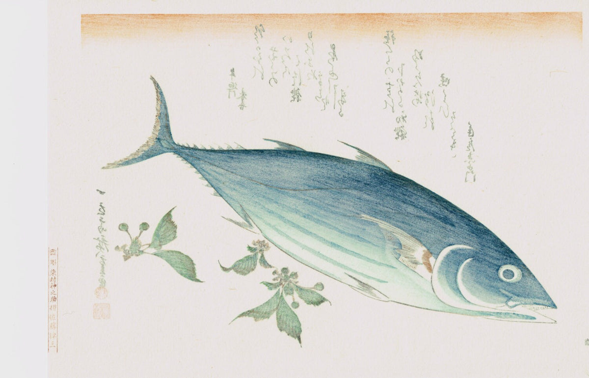 Japanese Ukiyoe, Woodblock print, Hiroshige, "Skipjack & Cherries"