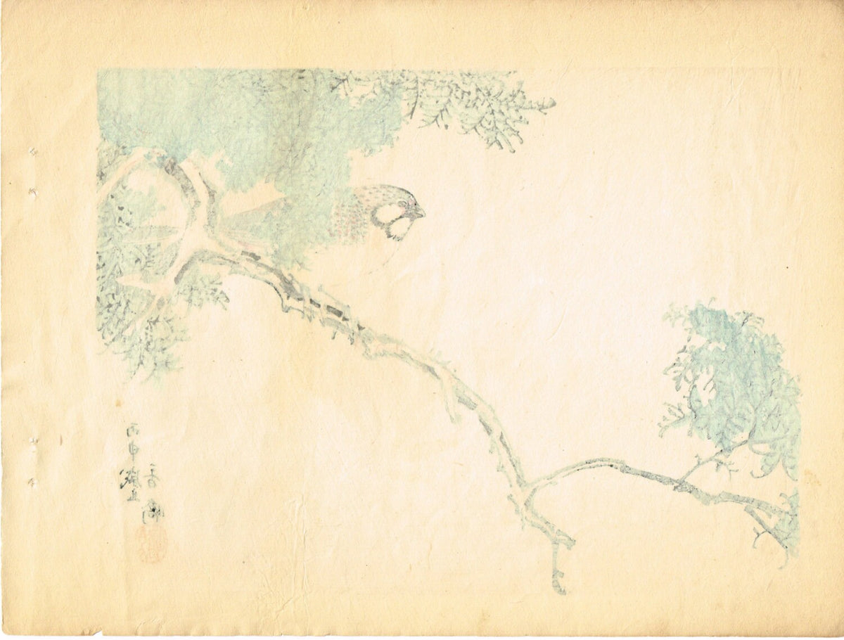 1913, Japanese Woodblock print, antique, Taniguchi Kakyo, "meadow bunting"
