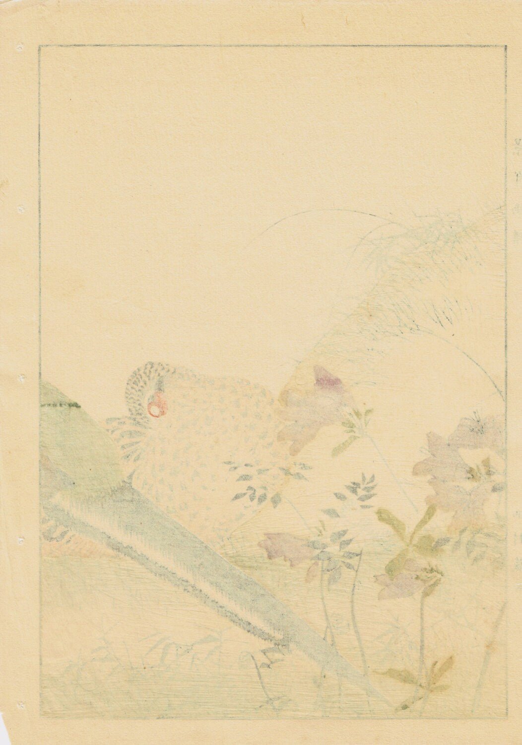 1891, Japanese Antique Original Woodcut Print, Imao Keinen, "Azalea, Osmund, Japanese Pheasant"