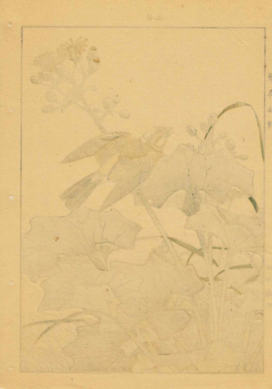 1892, Japanese Antique Original Woodblock Print, Imao Keinen, "Farfugium japonicum, Meadow Bunting"