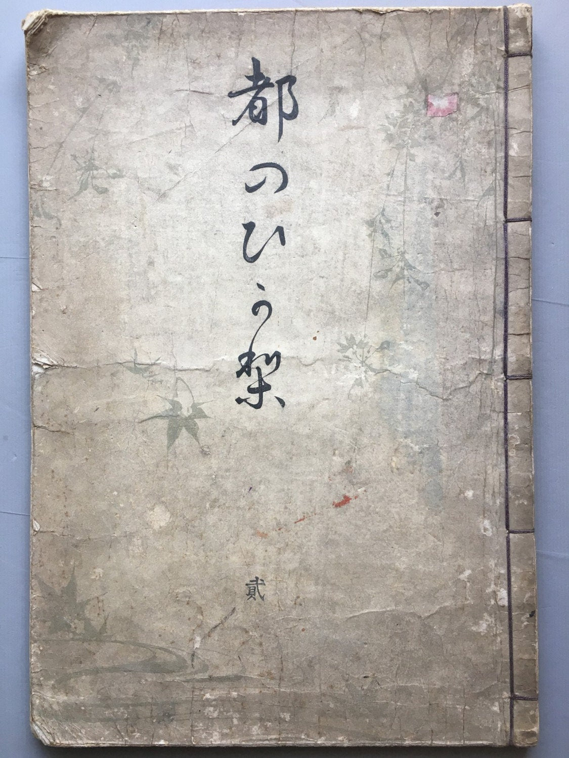 1899, Japanese original woodblock print book, Ueno Seiko, "Miyako no Hikari #2"
