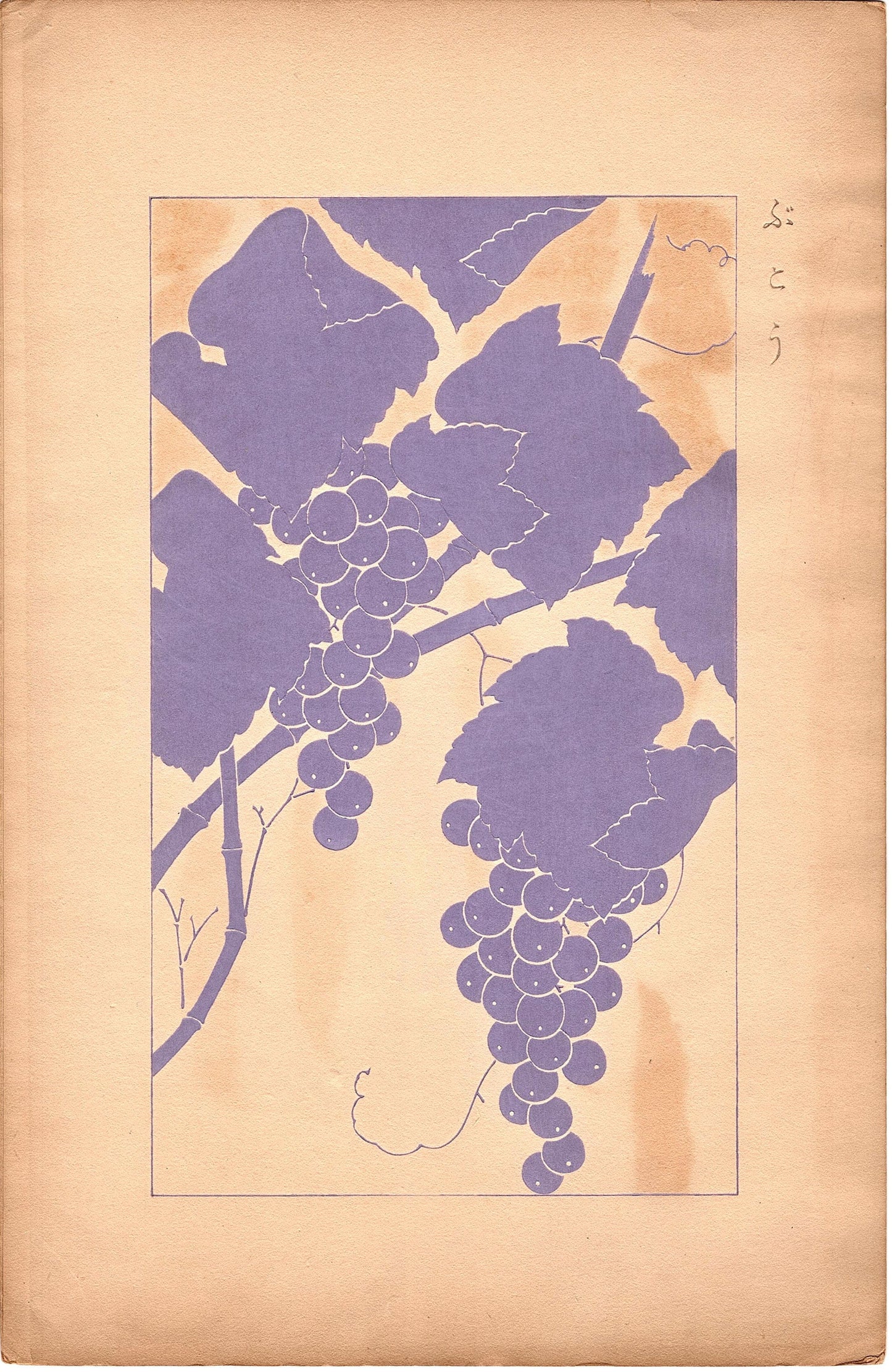 Japanese design, antique, 1932, Kawarazaki Kodo, "Grape", woodcut print.
