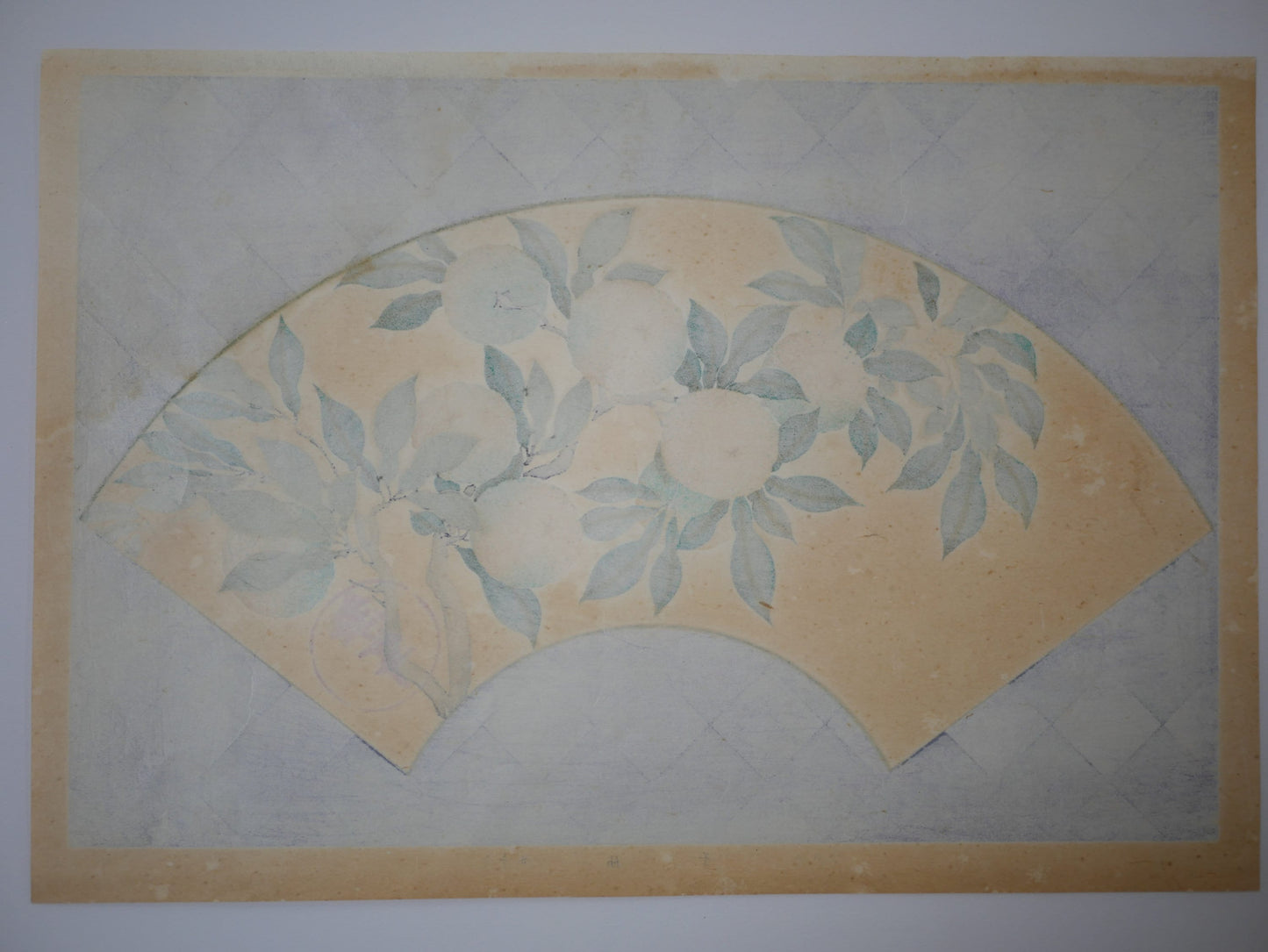 1931, Japanese antique woodblock print, Tawaraya Sotatsu, "Album of Hundred Flowers by Artists of Rinpa School, Yuzu", woodcut print.