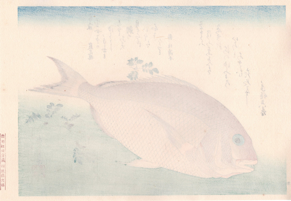 Japanese Ukiyoe, woodcut print, Hiroshige, "Sea Bream & Japanese Pepper".