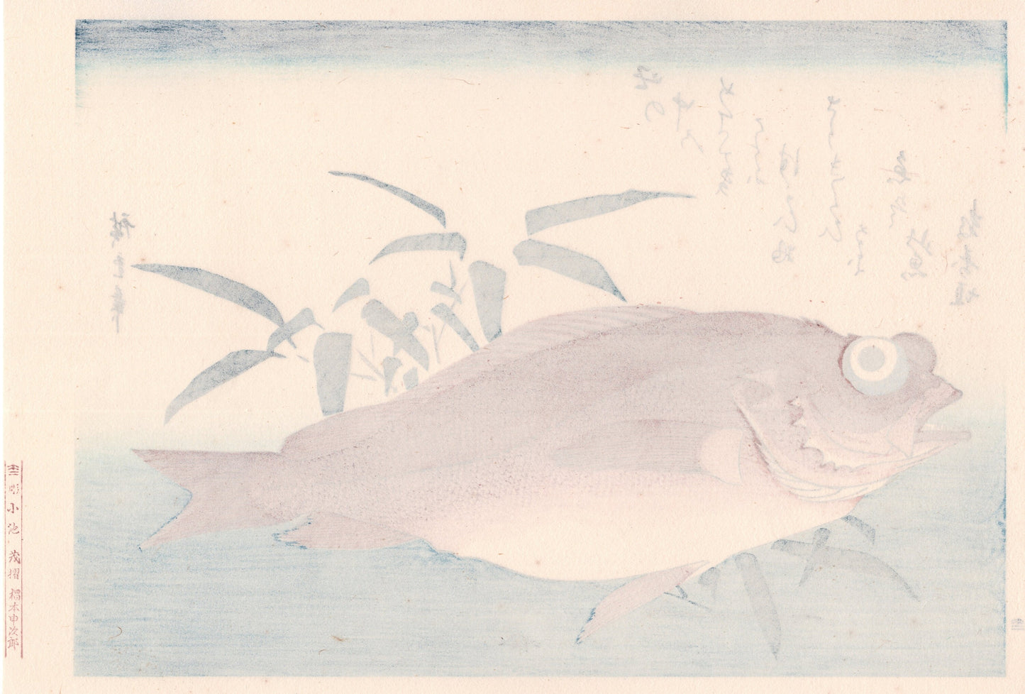 Japanese Ukiyoe, woodcut print, Hiroshige, "Goggle-eyed Sea Bream & Bamboo Grass".