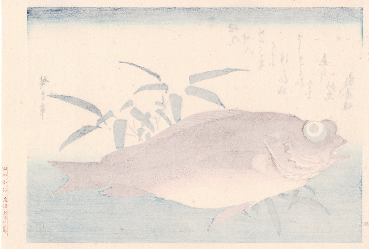 Japanese Ukiyoe, woodcut print, Hiroshige, "Goggle-eyed Sea Bream & Bamboo Grass".