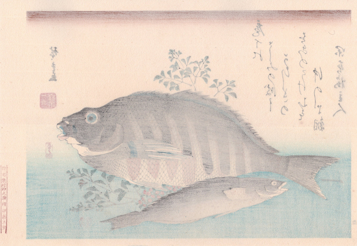 Japanese Ukiyoe, woodcut print, Hiroshige, "Striped Sea Bream, Rock Trout & Nandina".