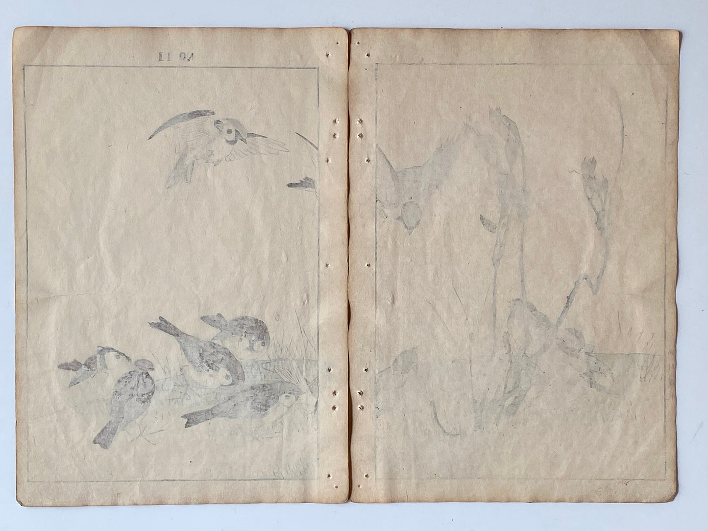 Japanese Antique Original Woodcut Print, 1891, Imao Keinen, " Asian melastome (Nobotan), Sparrows (Suzume) "