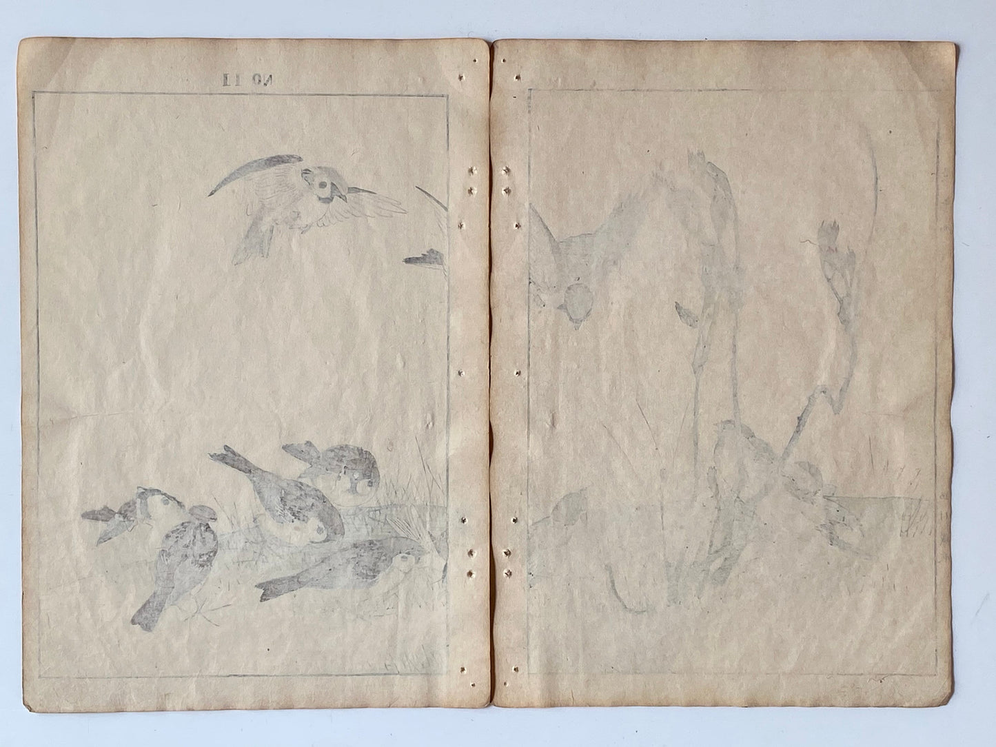 Japanese Antique Original Woodcut Print, 1891, Imao Keinen, " Asian melastome (Nobotan), Sparrows (Suzume) "