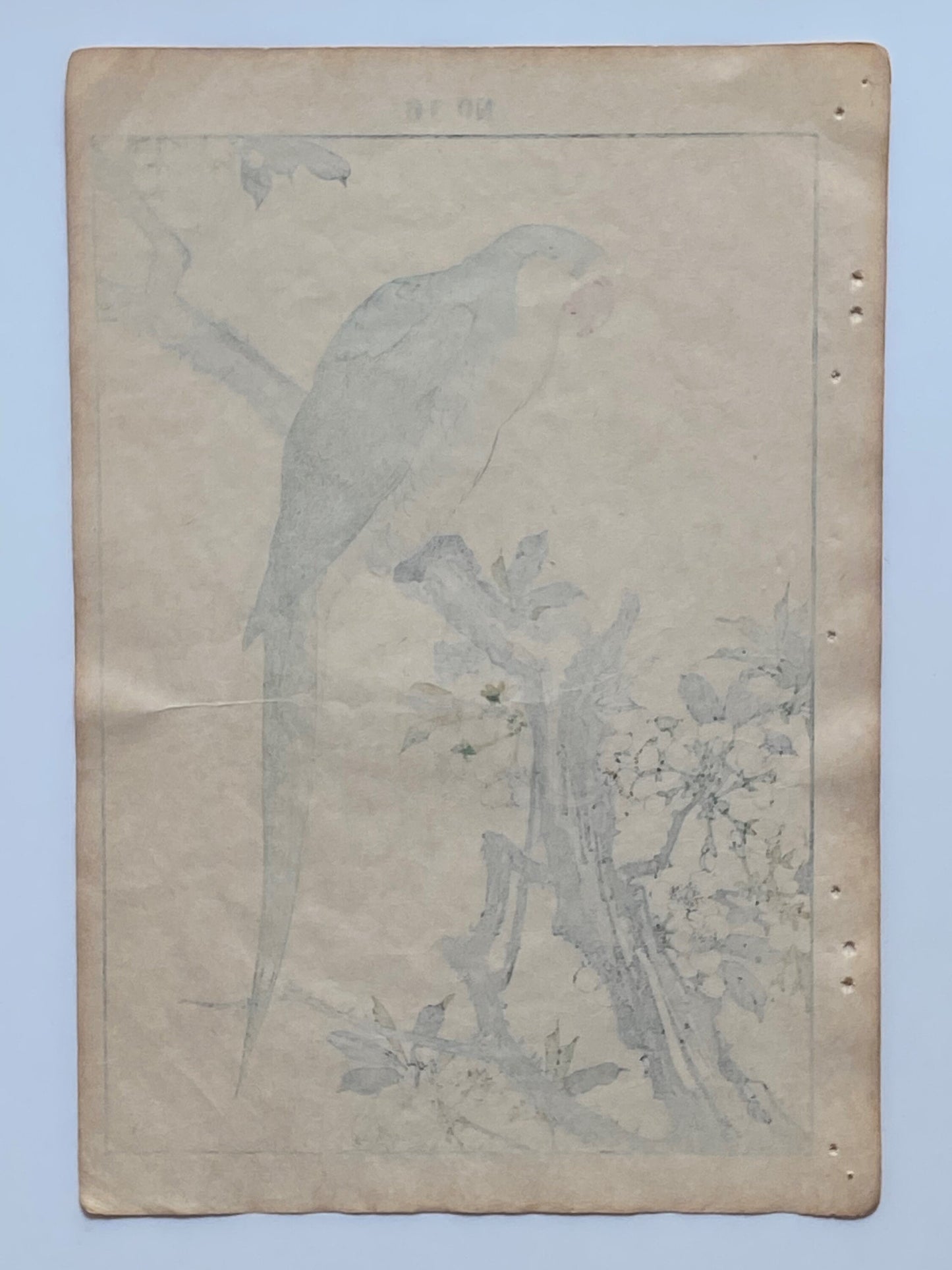 Japanese Antique Original Woodcut Print, 1891, Imao Keinen, " Japanese plum (Sumomo-no-Hana), Red-breasted Parakeet (Darumainko) "
