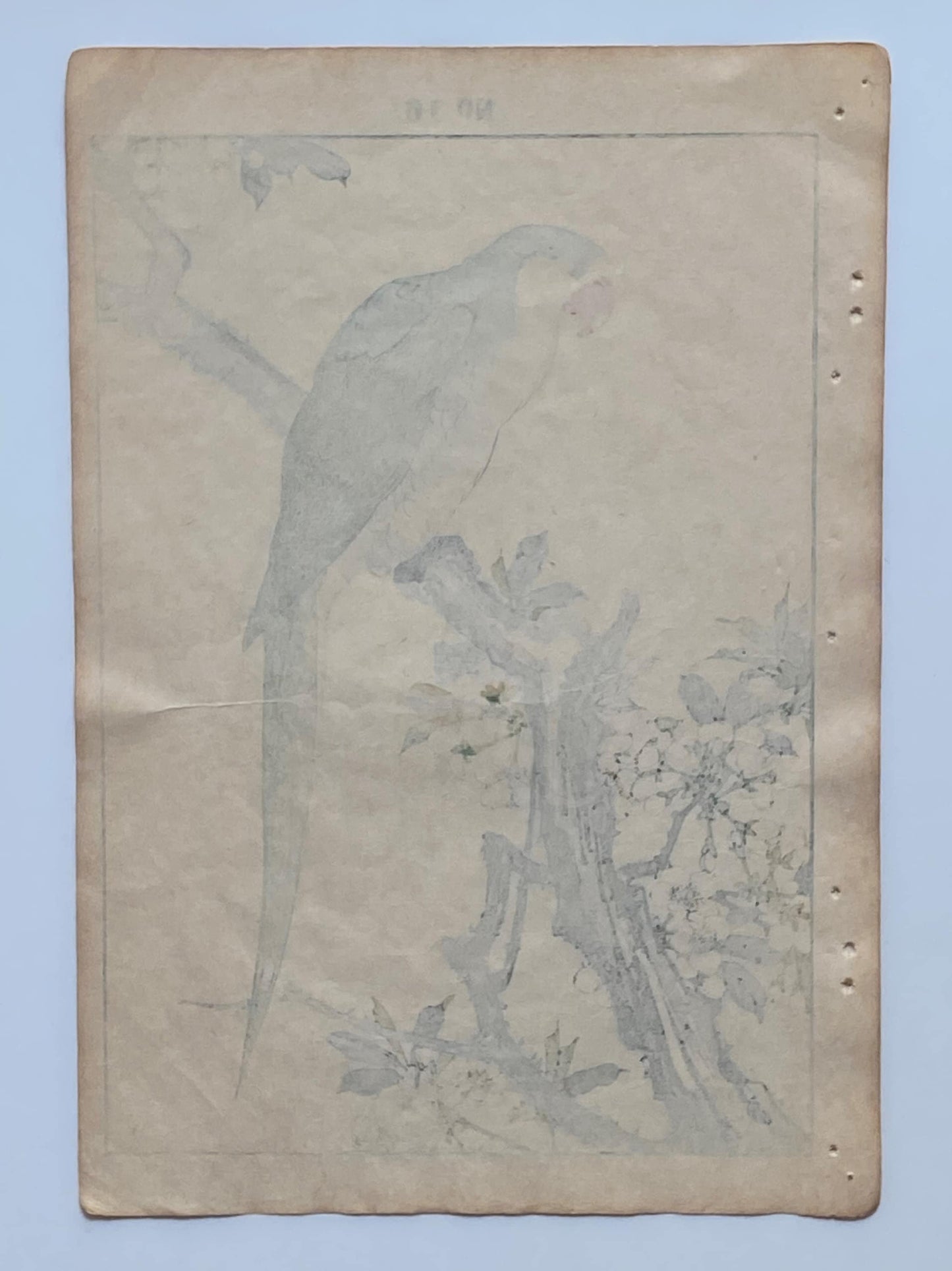 1892, Japanese Antique Original Woodblock Print, 1891, Imao Keinen, " Japanese plum (Sumomo-no-Hana), Red-breasted Parakeet (Darumainko) "