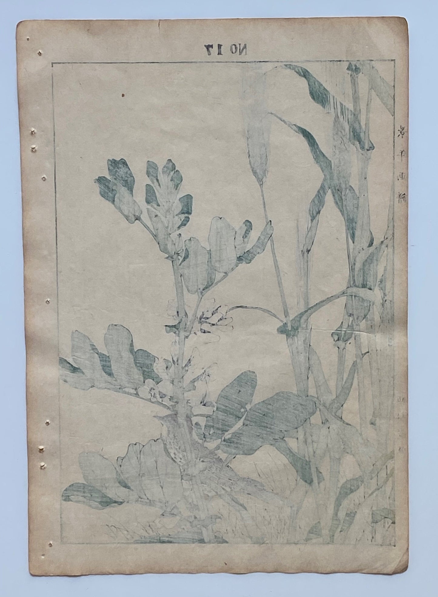 Japanese Woodcut Print, 1891, Imao Keinen, " Hordeum vulgare (Ōmugi), Broad bean (Soramame), Lark (Hibari) "