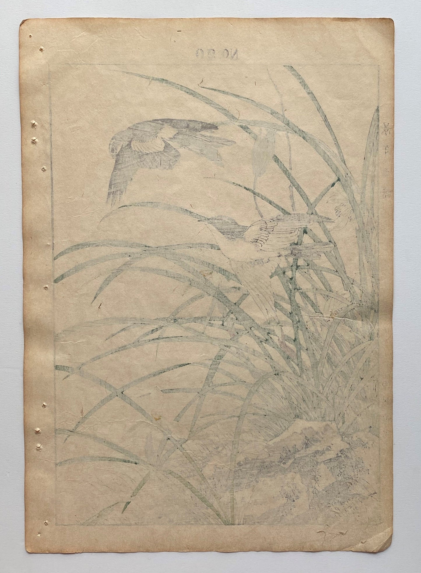 Japanese Antique Original Woodcut Print, 1891, Imao Keinen, " Riverstream orchid (Hokuri), Swallows (Tsubame) "