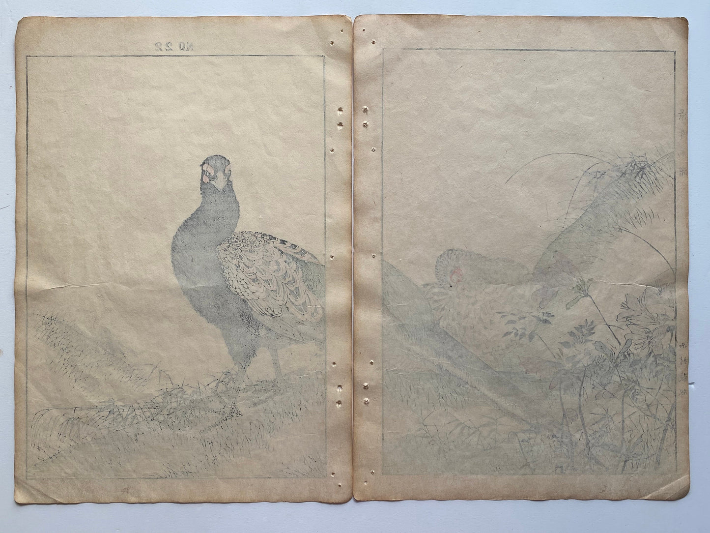 Japanese Antique Original Woodcut Print, 1891, Imao Keinen, " Azalea (Tsutsuji), Zenmai, Pheasant (Kiji) "