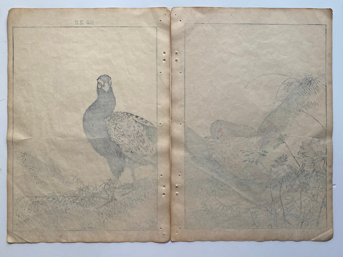 Japanese Antique Original Woodcut Print, 1891, Imao Keinen, " Azalea (Tsutsuji), Zenmai, Pheasant (Kiji) "