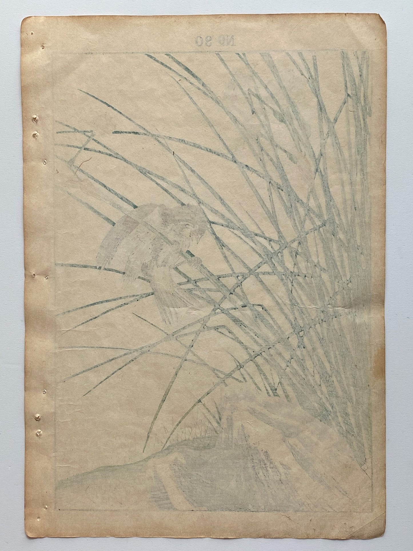 Japanese Antique Original Woodcut Print, 1891, Imao Keinen, " Jonquil daffodil (Kizuisen), Chestnut Bunting (Shimanojiko) "