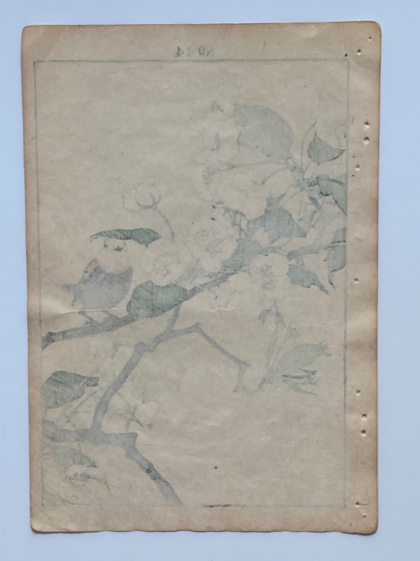 1892, Japanese Antique Original Woodblock Print, 1891, Imao Keinen, " Pear flower (Nashinohana), Shimakoma "