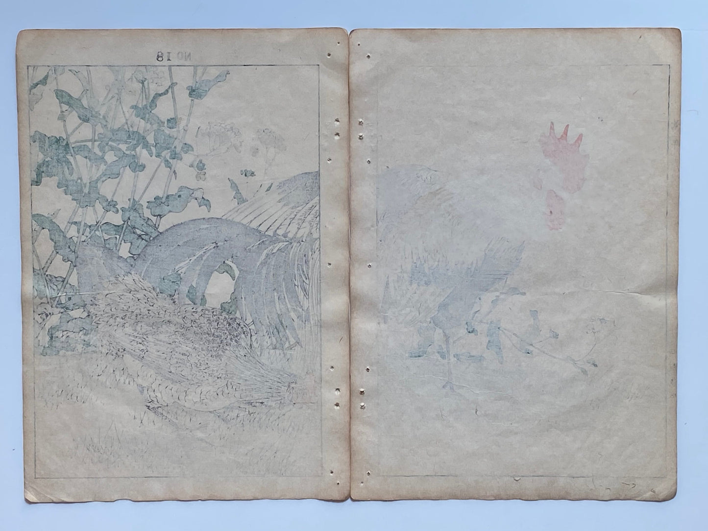 Japanese Antique Original Woodcut Print, 1891, Imao Keinen, " Rapeseeds (Aburana), Roosters (Niwatori) "
