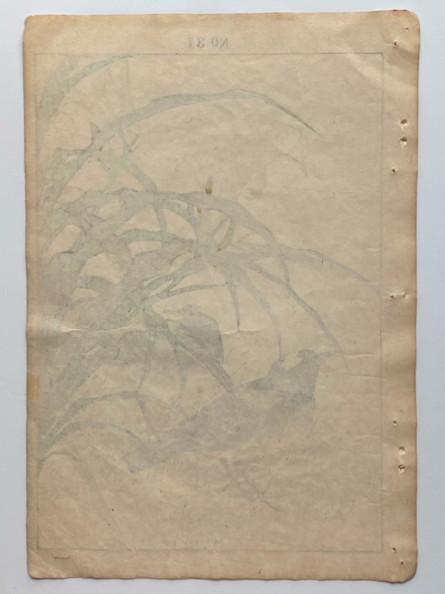 1892, Japanese Antique Original Woodblock Print, 1891, Imao Keinen, " Orange Daylily (Kanzo), Thrush (Kachintsumugi) "