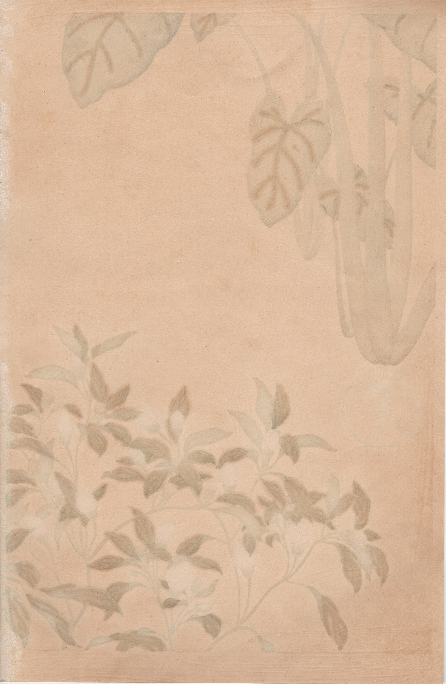 Japanese design, antique, woodcut print, 1930, Tawaraya Sotatsu, "Album of Hundred Flowers by Artists of Rinpa School, Potato, Pepper”