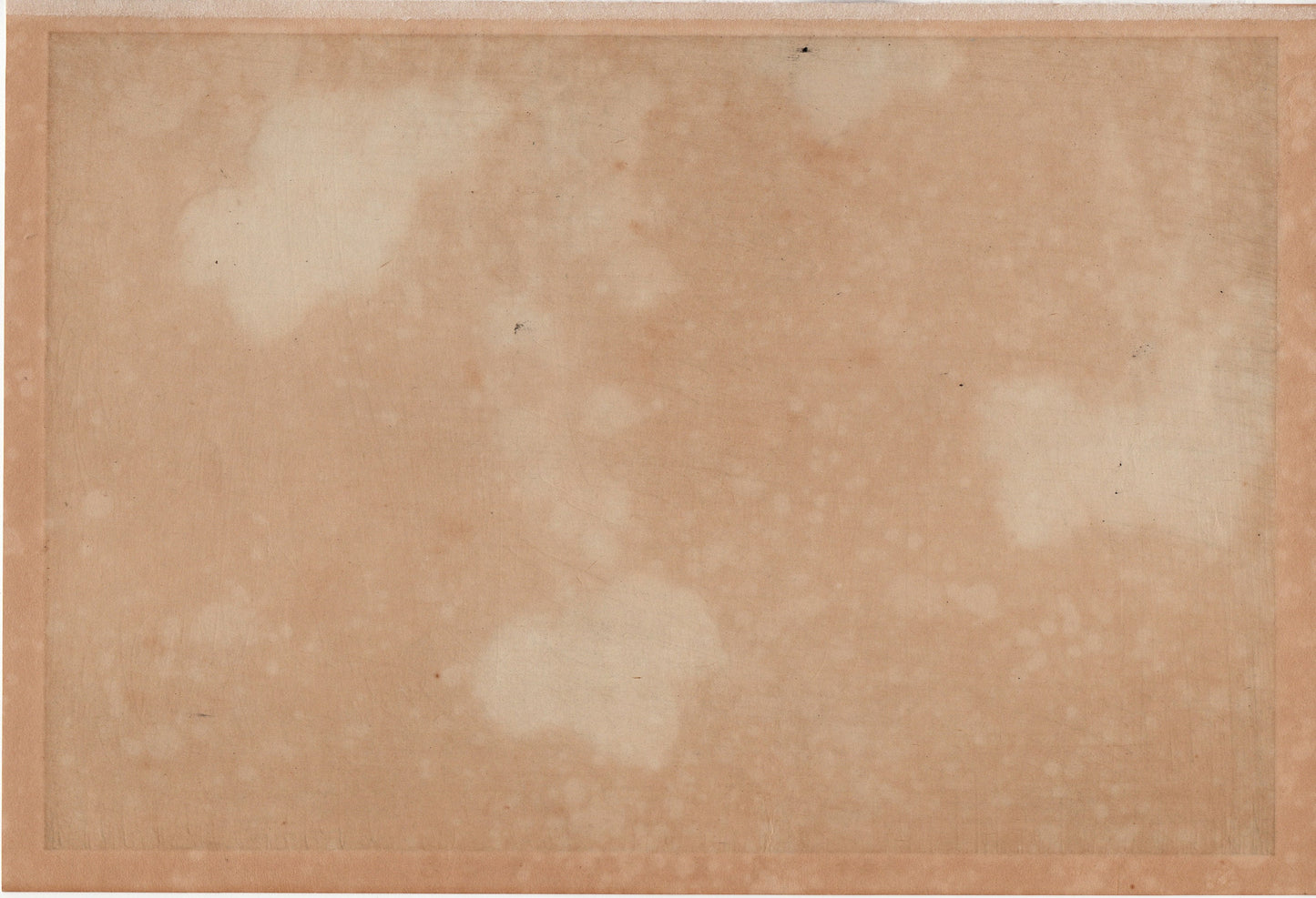 Japanese design, antique, woodcut print, 1930, Hon-ami Koetsu, "Album of Hundred Flowers by Artists of Rinpa School, Ivy”