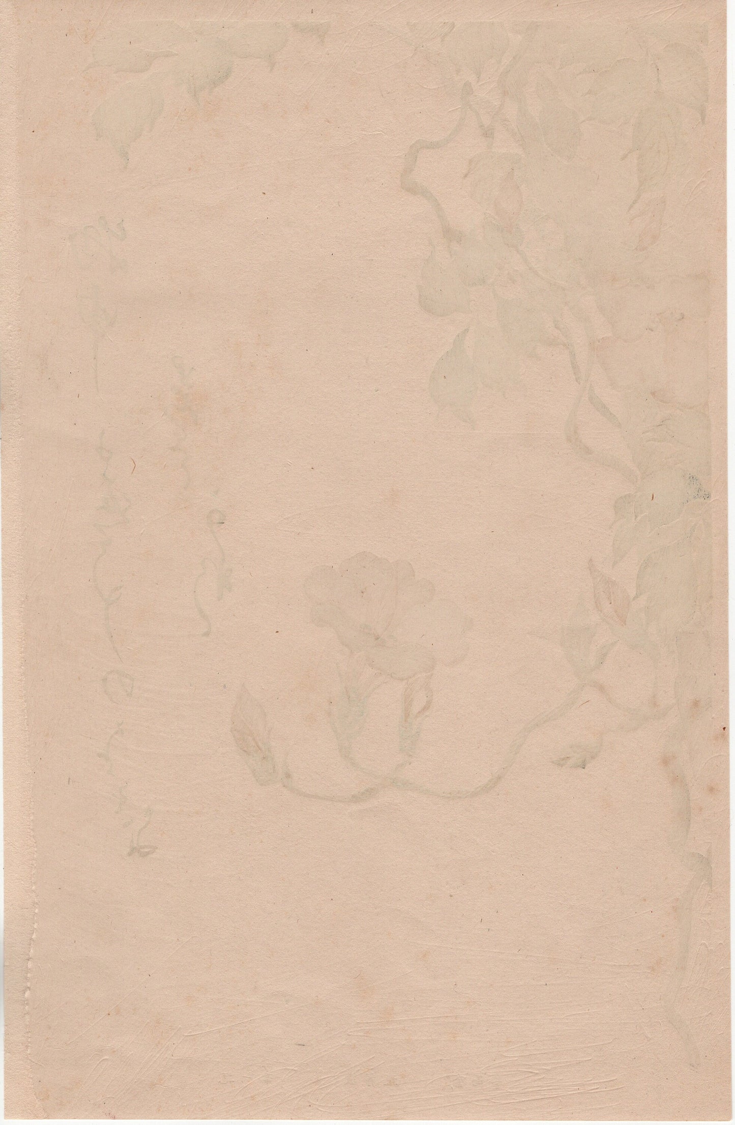 Japanese design, antique, woodcut print, 1930, Sakai Hoitsu, "Album of Hundred Flowers by Artists of Rinpa School, Chinese trumpet vine”