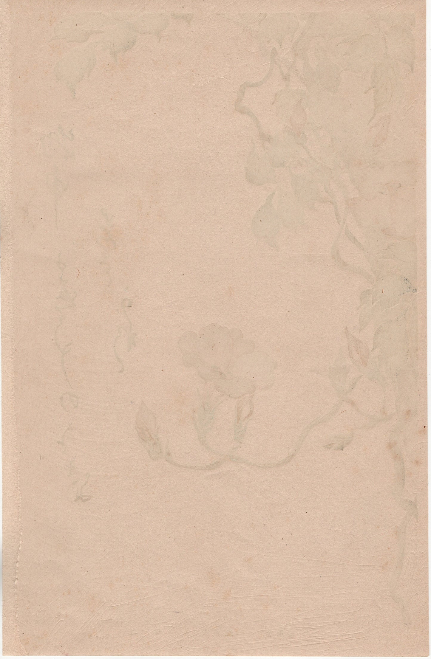 Japanese design, antique, woodcut print, 1930, Sakai Hoitsu, "Album of Hundred Flowers by Artists of Rinpa School, Chinese trumpet vine”