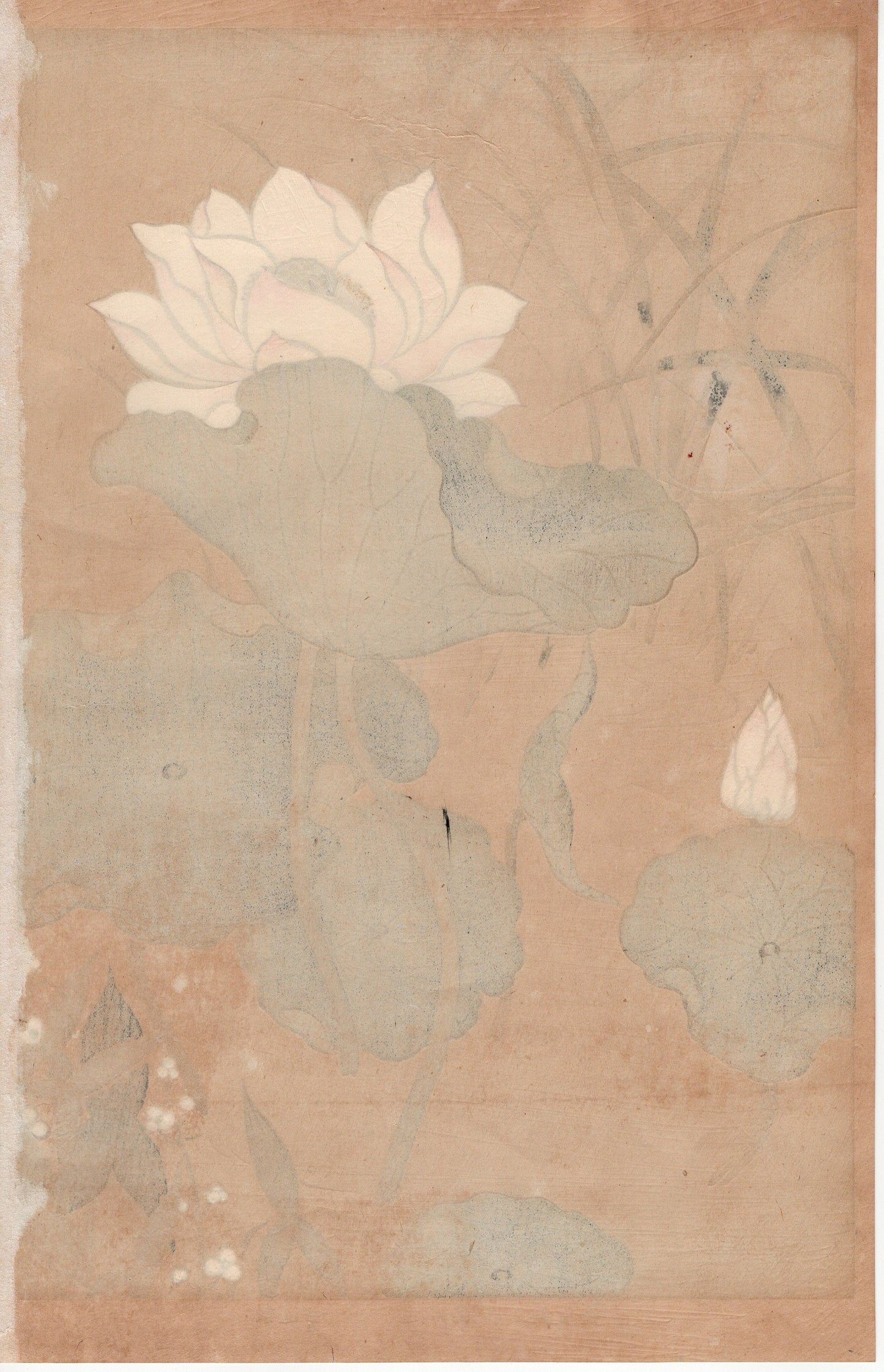 Japanese design, woodcut print, 1930, Tawaraya Sotatsu, "Album of Hundred Flowers by Artists of Rinpa School, Lotus, Arrowhead”