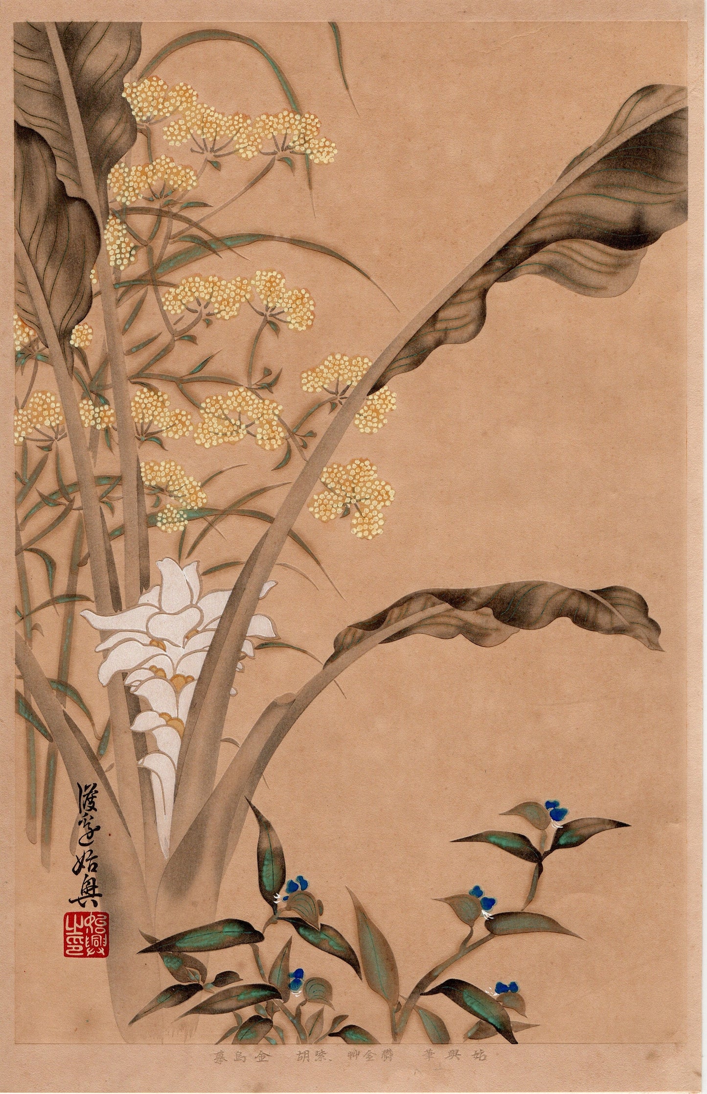 Japanese design, woodcut print, 1931, Watanabe Siko/Motooki, "Album of Hundred Flowers by Artists of Rinpa School, Turmeric”
