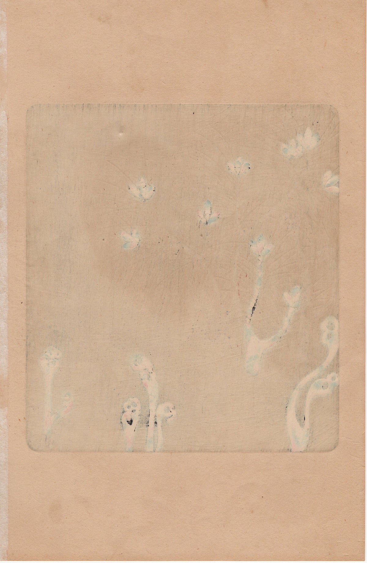 Japanese design, antique, woodcut print, 1930, Ogata Korin, "Album of Hundred Flowers by Artists of Rinpa School, Pine root, Sawarabi”