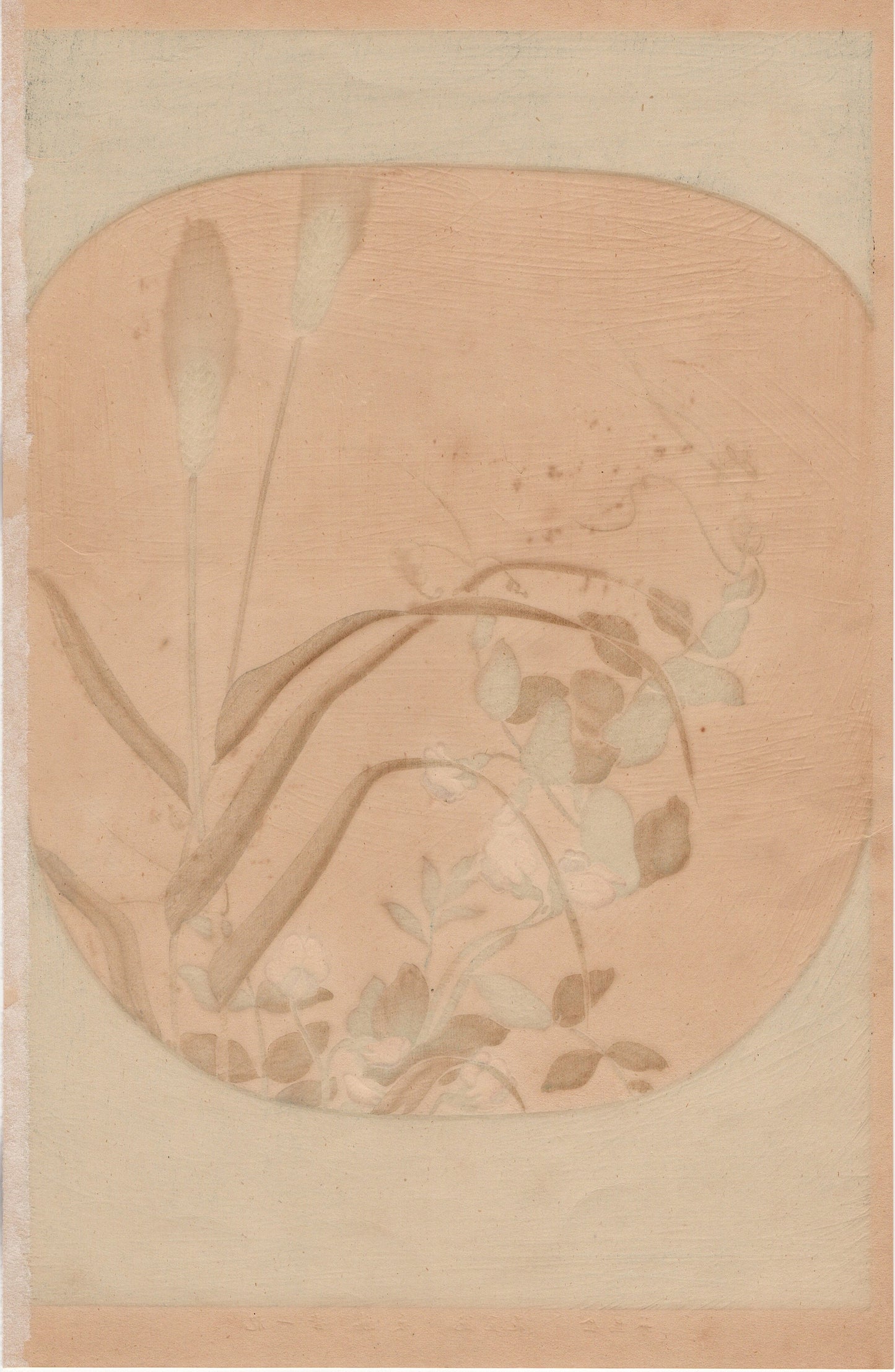 Japanese design, antique, woodcut print, 1930, Sakai Hoitsu, "Album of Hundred Flowers by Artists of Rinpa School, Ear barley, Pea flower”