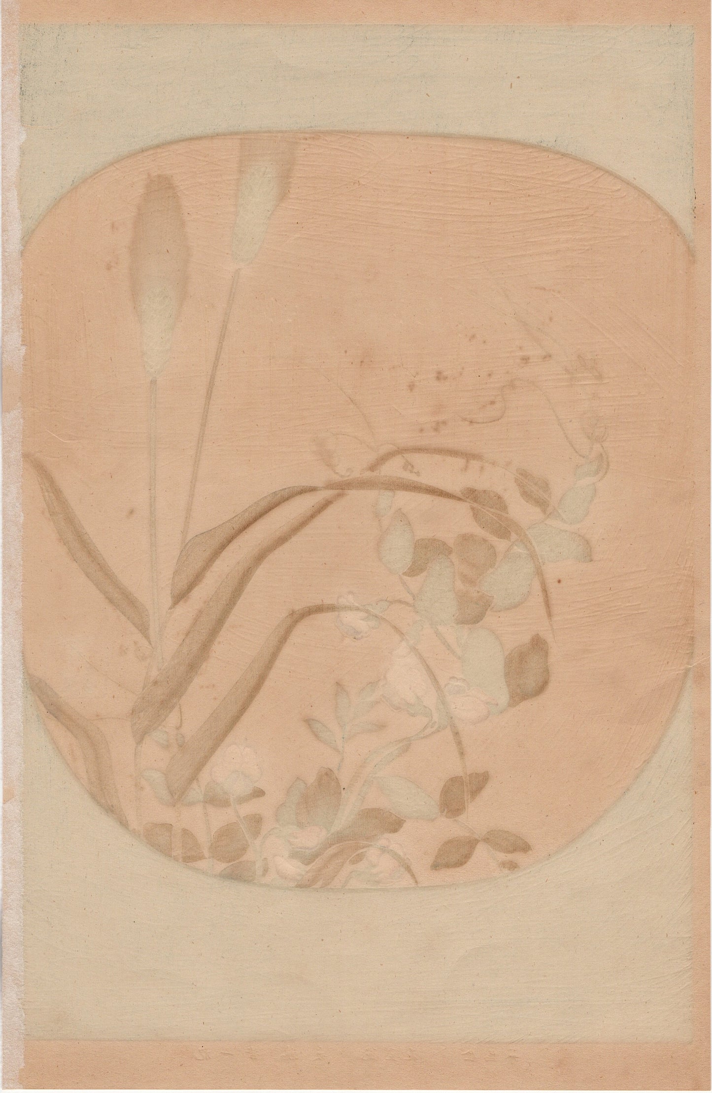 Japanese design, antique, woodcut print, 1930, Sakai Hoitsu, "Album of Hundred Flowers by Artists of Rinpa School, Ear barley, Pea flower”