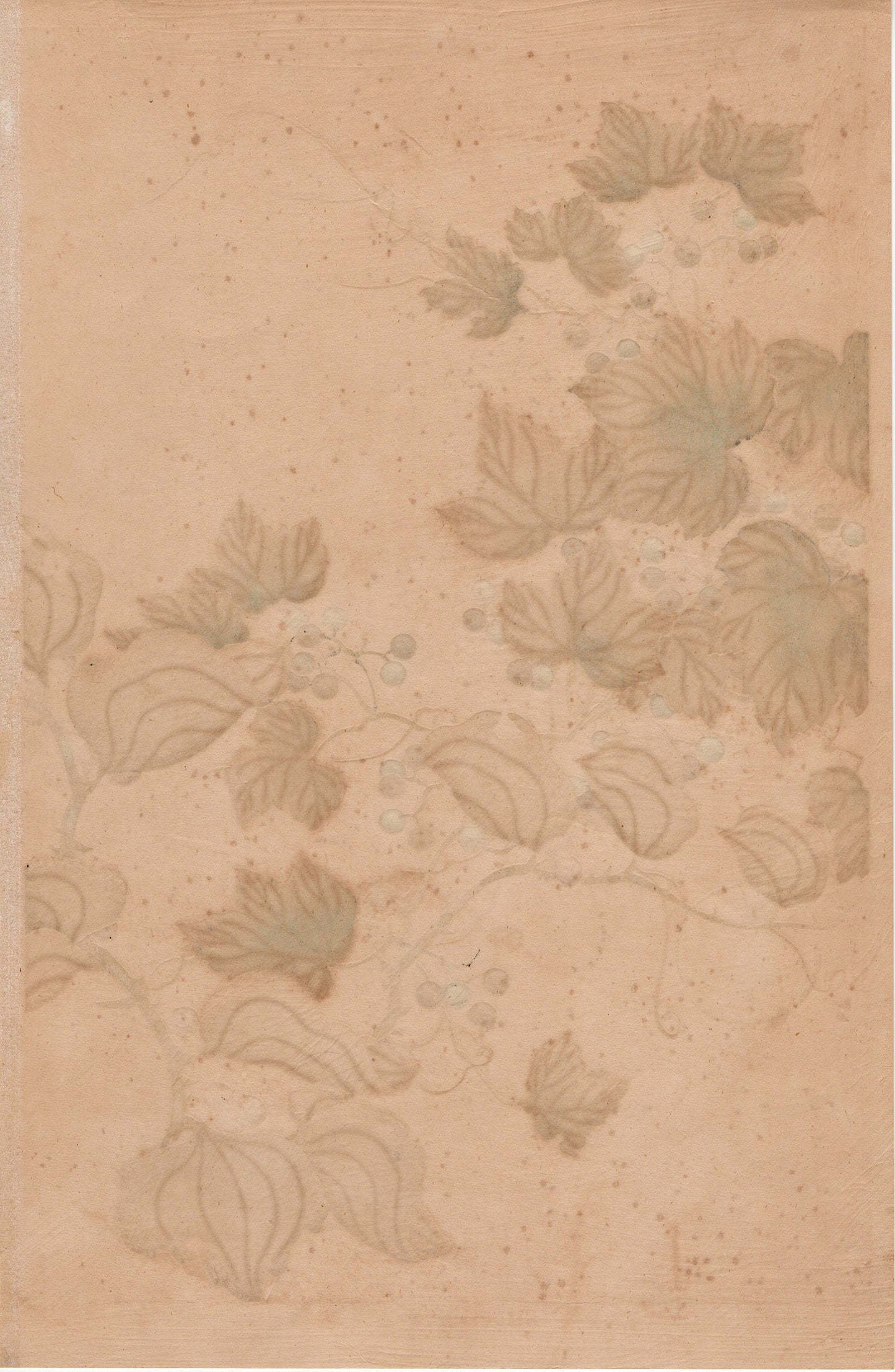 Japanese design, antique, woodcut print, 1930, Tawaraya Sotatsu, "Album of Hundred Flowers by Artists of Rinpa School, Ampelopsis”