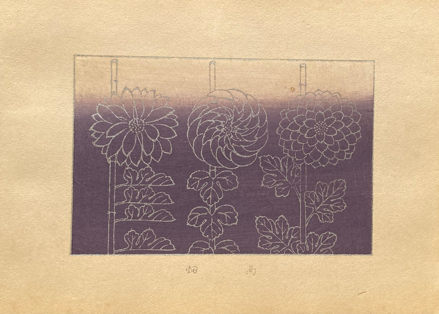 Japanese design, antique, woodcut print, 1933, Kawarazaki Kodo, Antique Woodcut Design Print, chrysanthemum.
