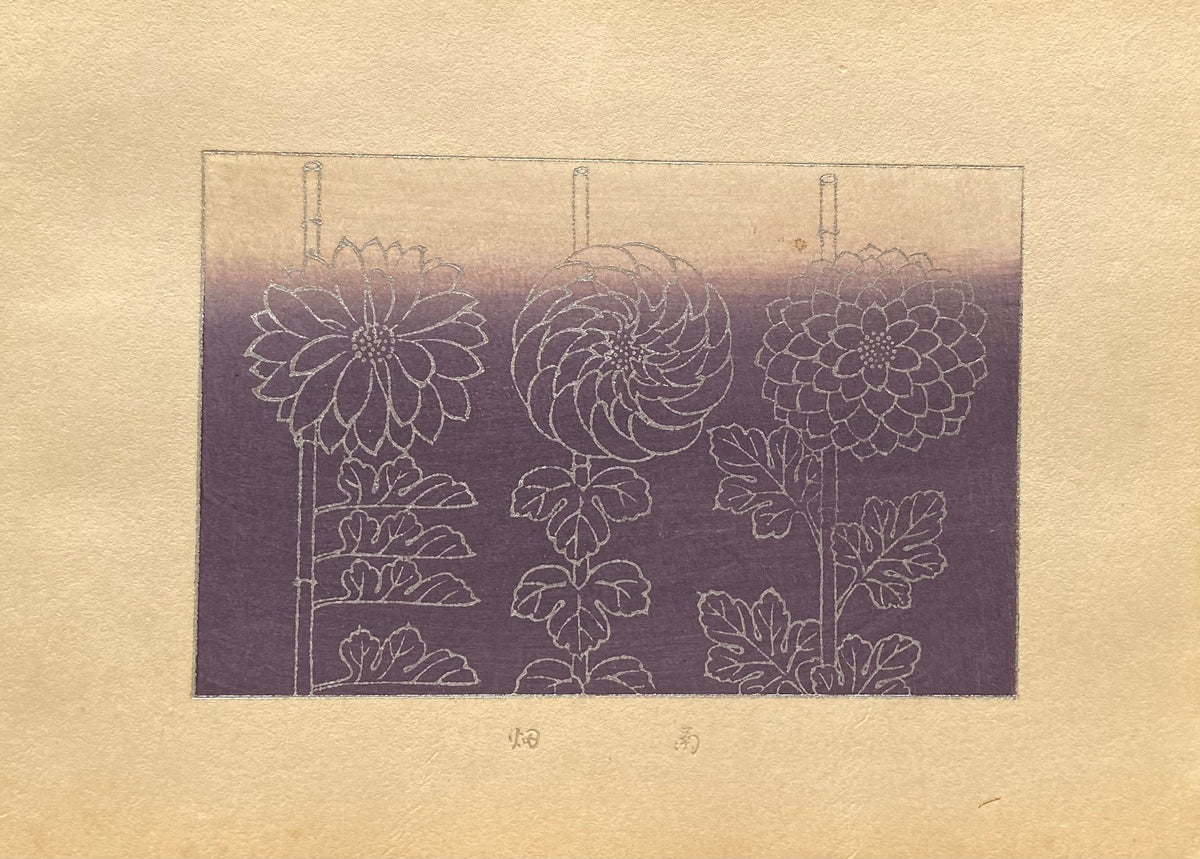 Japanese design, antique, woodcut print, 1933, Kawarazaki Kodo, chrysanthemum.