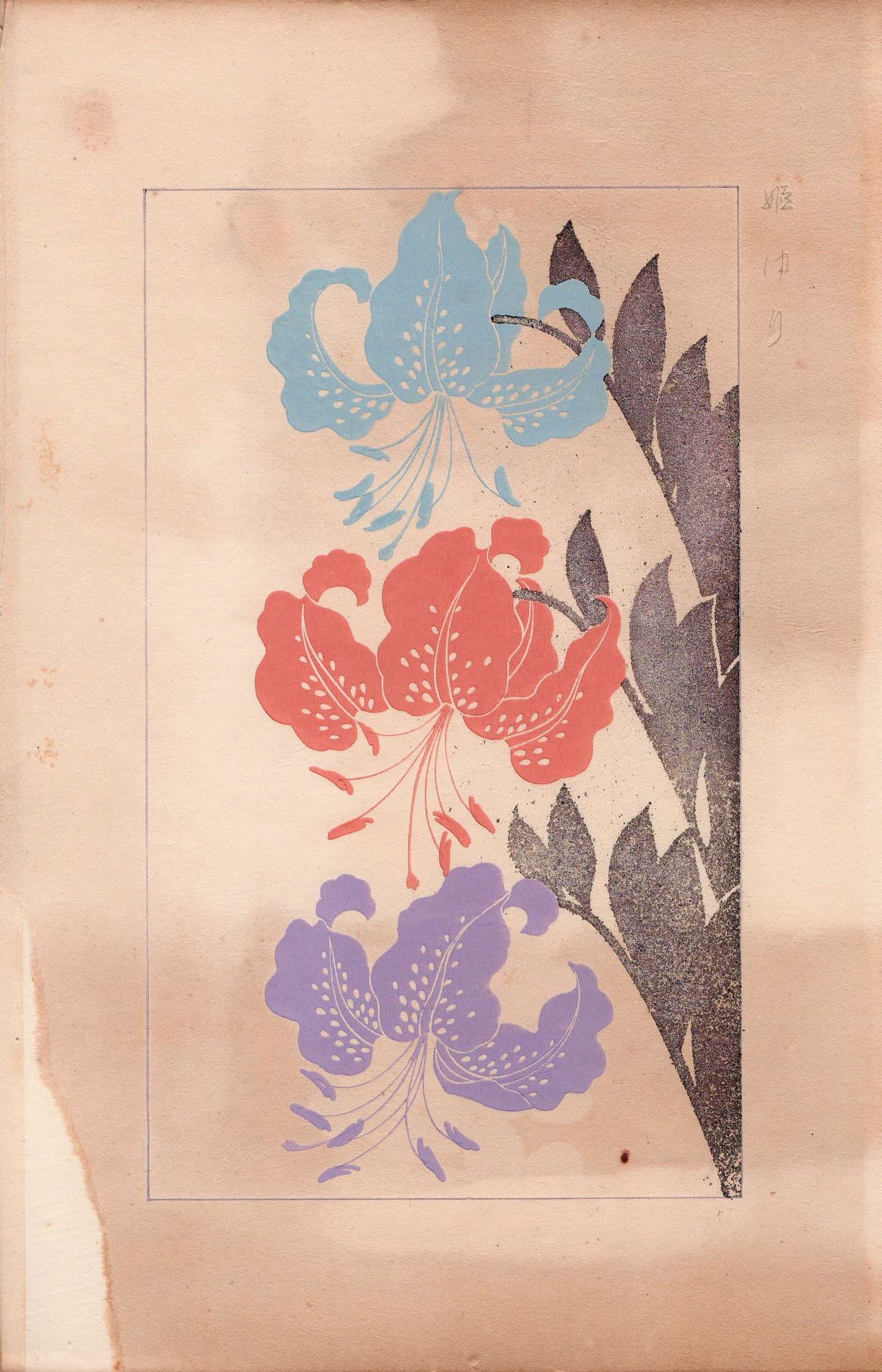 Japanese design, antique, 1932, Kawarazaki Kodo, star lily., woodblock print.