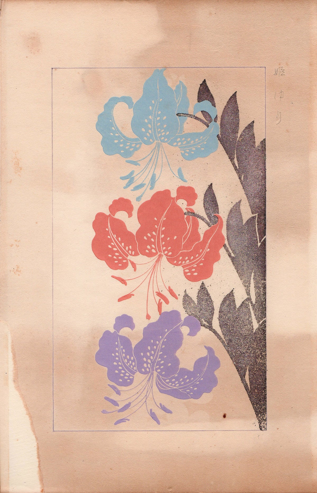 Japanese design, antique, 1932, Kawarazaki Kodo, star lily., woodblock print.