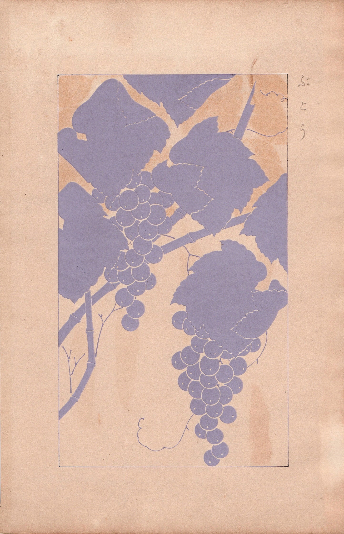 Japanese design, antique, 1932, Kawarazaki Kodo, Grape, woodblock print.