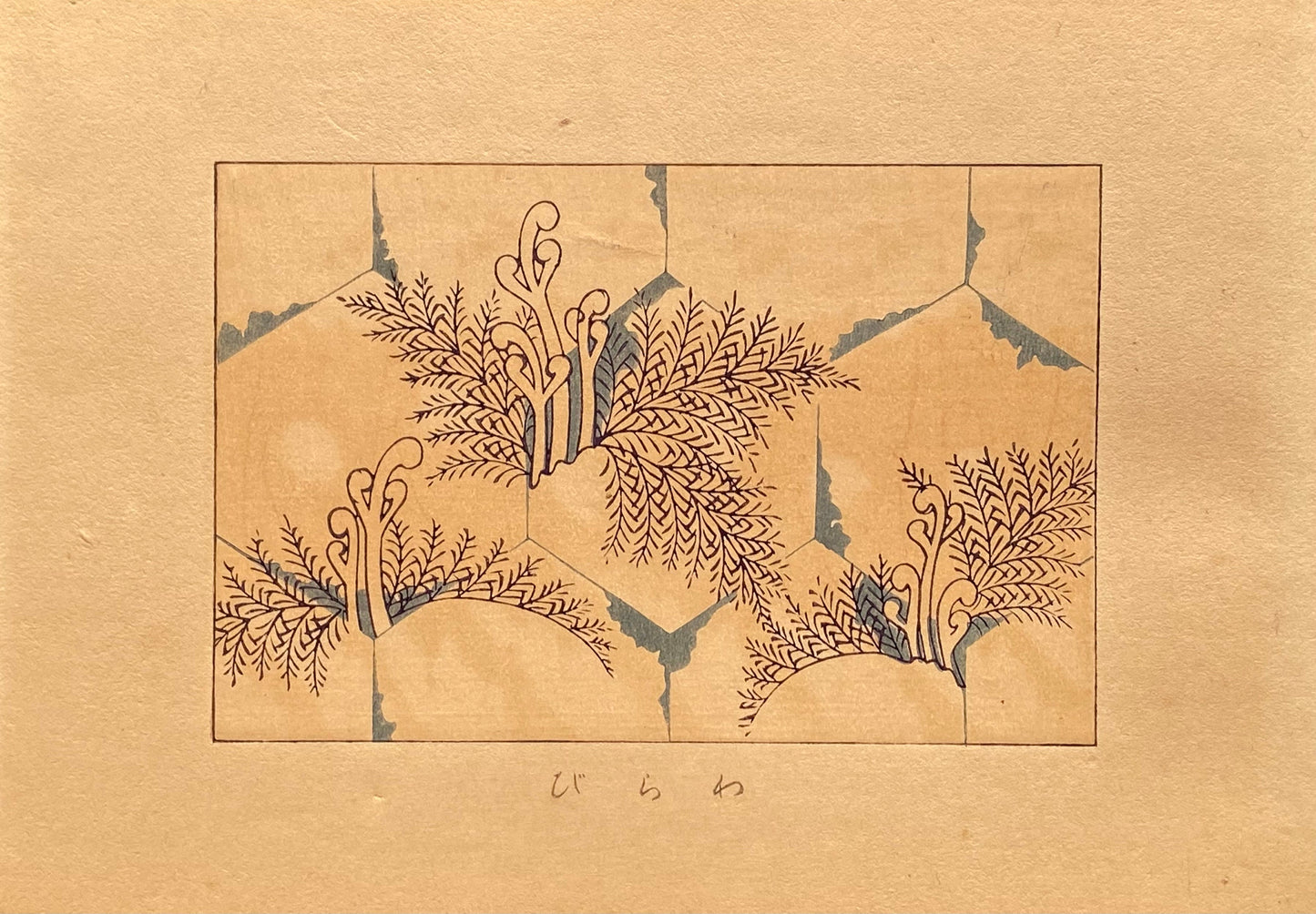 Japanese design, antique, woodcut print, 1933, Kawarazaki Kodo, Bracken.