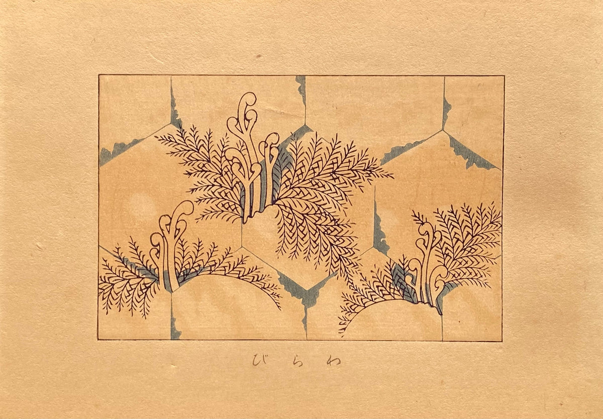 Japanese design, antique, woodcut print, 1933, Kawarazaki Kodo, Bracken.