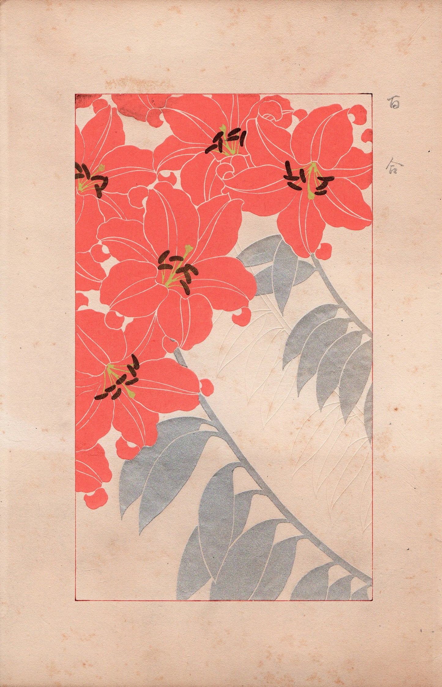 Japanese design, antique, 1932, Kawarazaki Kodo, lily, woodblock print.