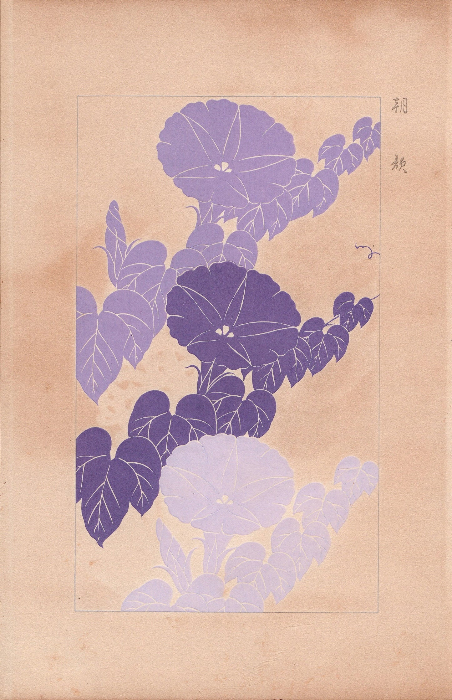Japanese design, antique, 1932, Kawarazaki Kodo, morning glory, woodblock print.