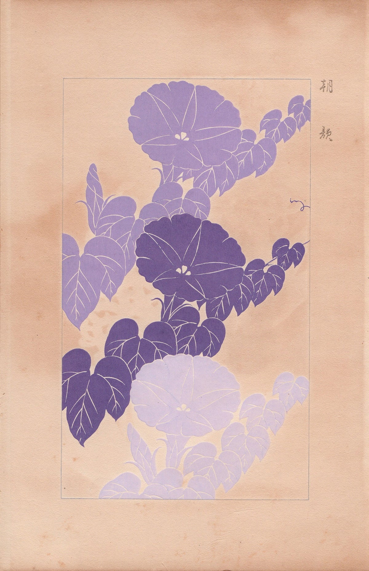 Japanese design, antique, 1932, Kawarazaki Kodo, morning glory, woodblock print.