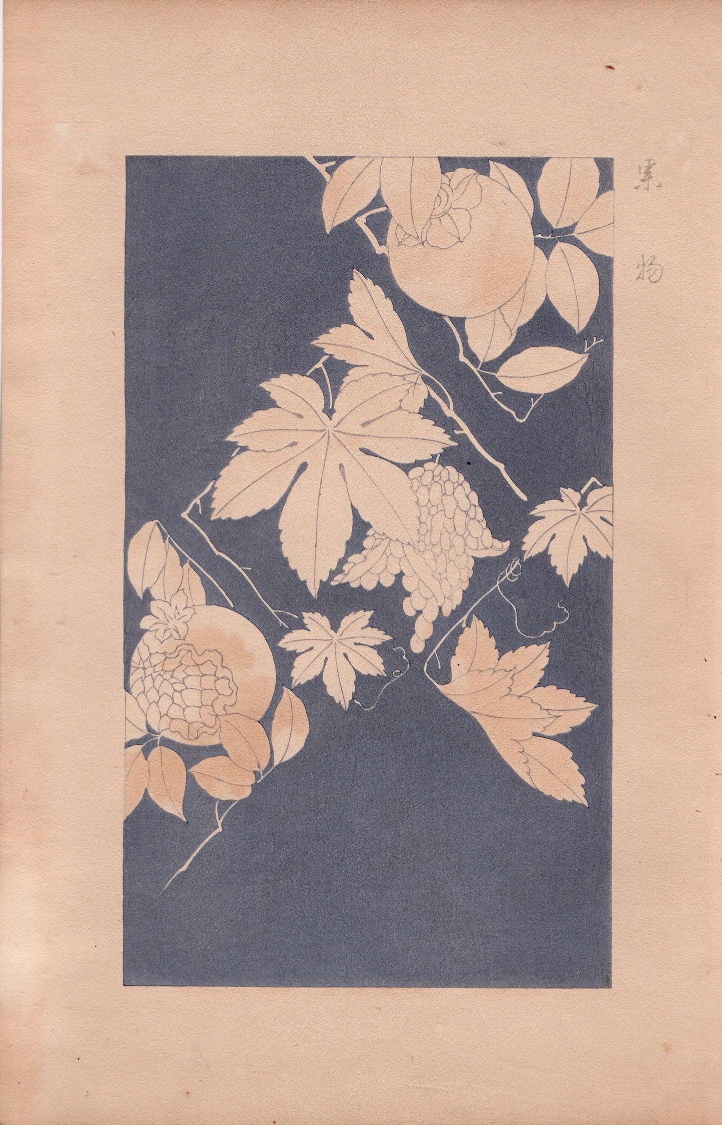 Japanese design, antique, 1932, Kawarazaki Kodo, Fruit, woodblock print.