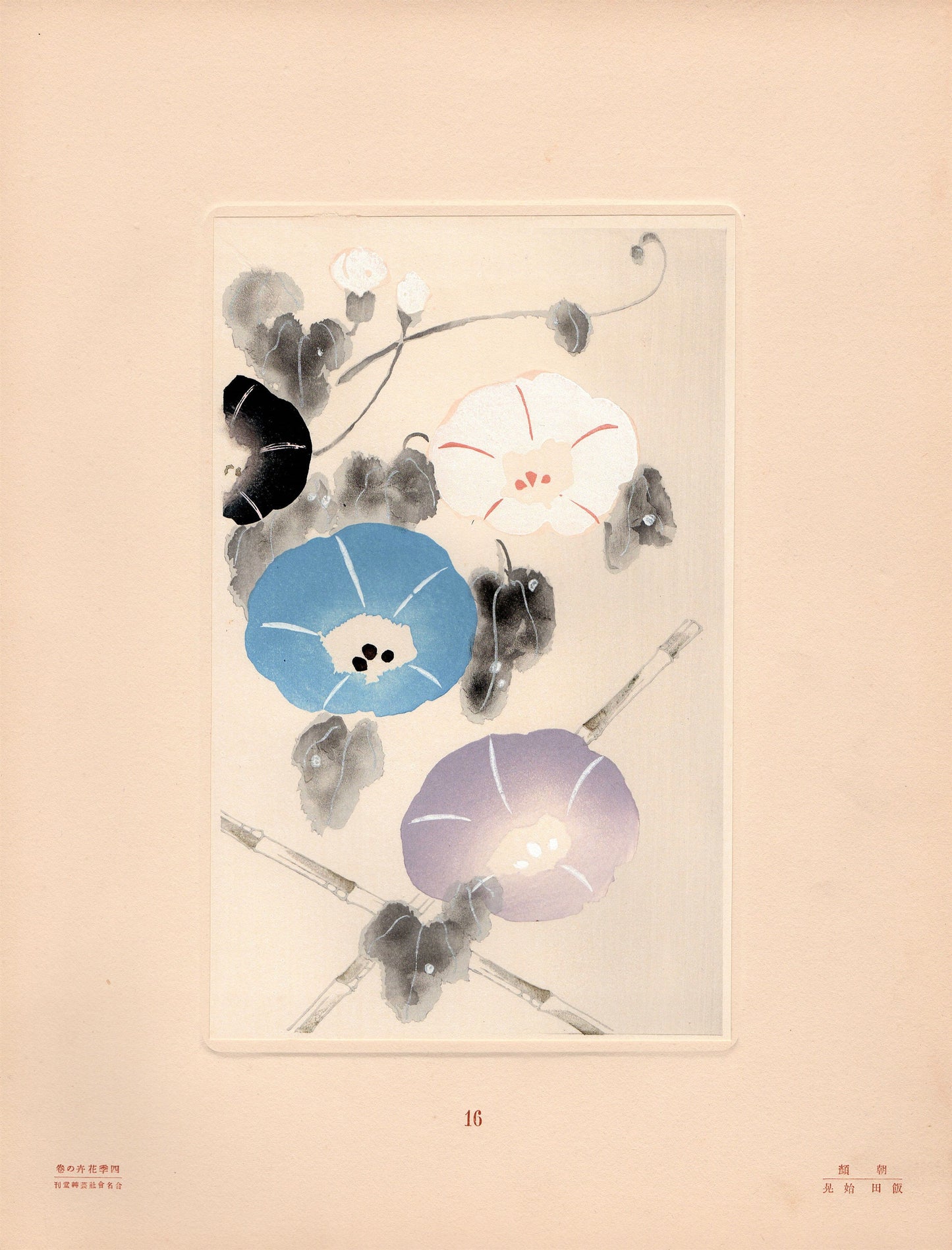 Japanese antique woodblock print, Design, 1932, Morning Glory Design.