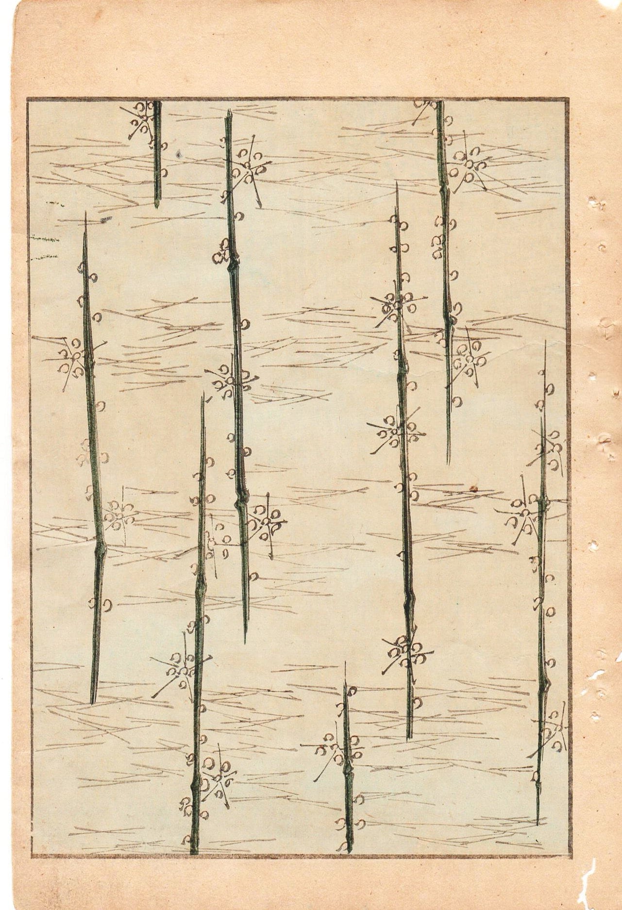 Japanese Antique Original Woodcut Print, c 1900, Bijutsukai 1, Sekka, Korin