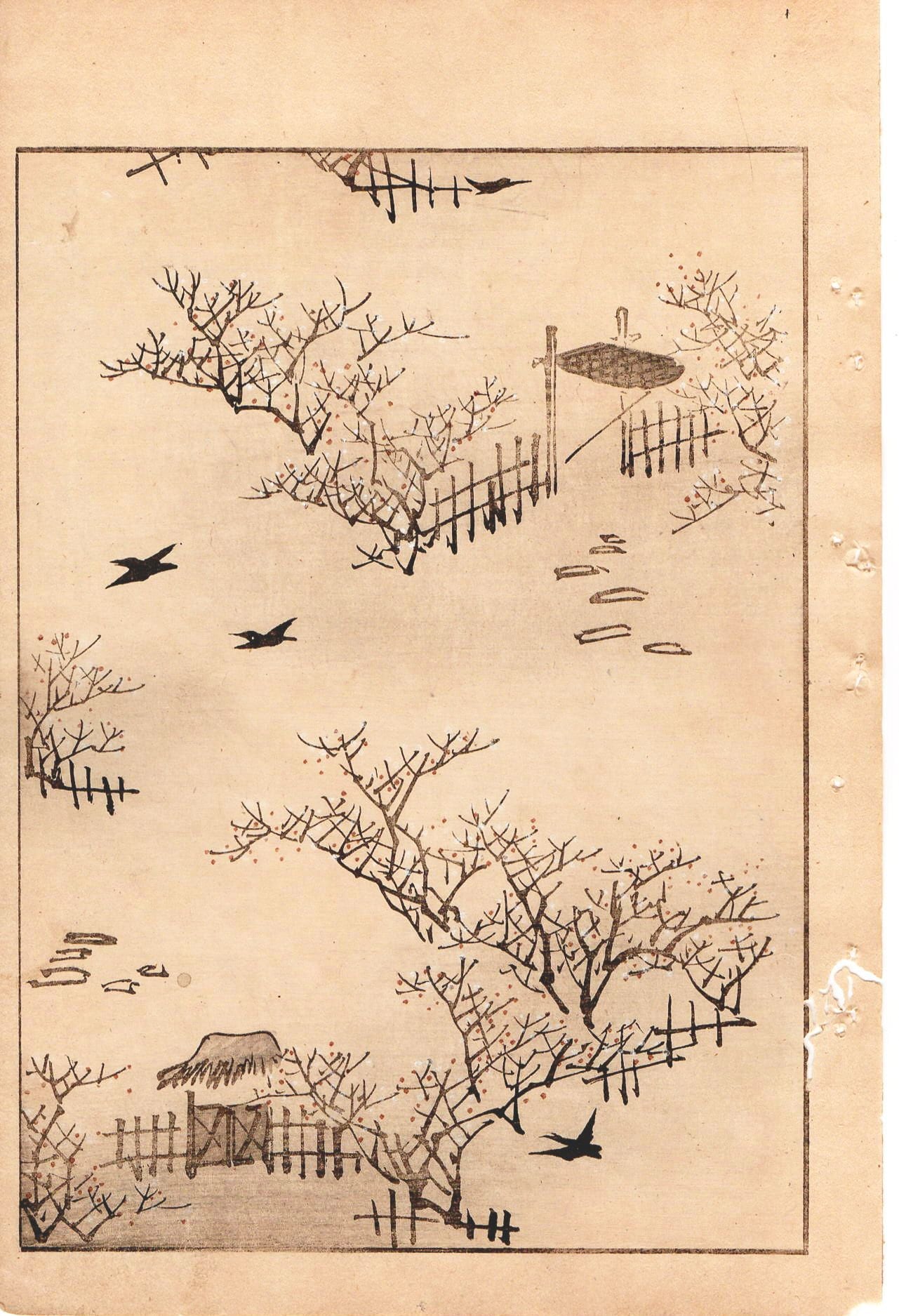 Japanese Antique Original Woodcut Print, c 1900, Bijutsukai 1, Sekka, Korin
