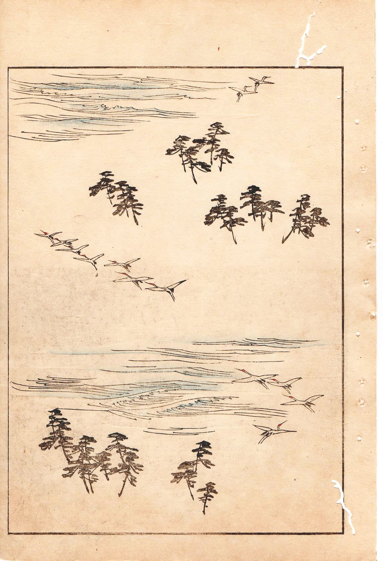 Japanese Antique Original Woodcut Print, c 1900, Bijutsukai 1, Sekka, Korin